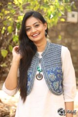 Nikitha Narayan at Ladies and Gentlemen Platinum Disc Function